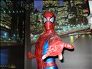 Hollywood Wax Musem: Spiderman